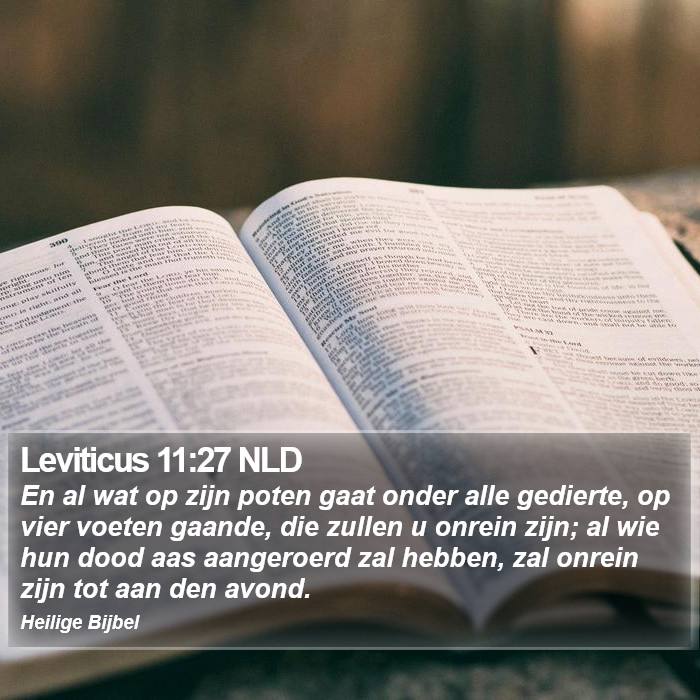 Leviticus 11:27 NLD Bible Study