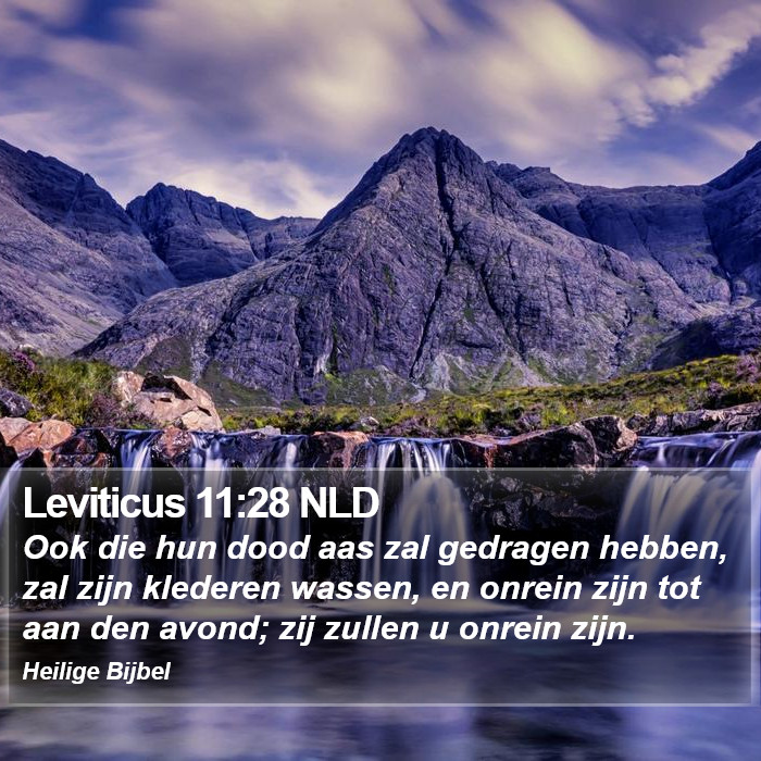Leviticus 11:28 NLD Bible Study