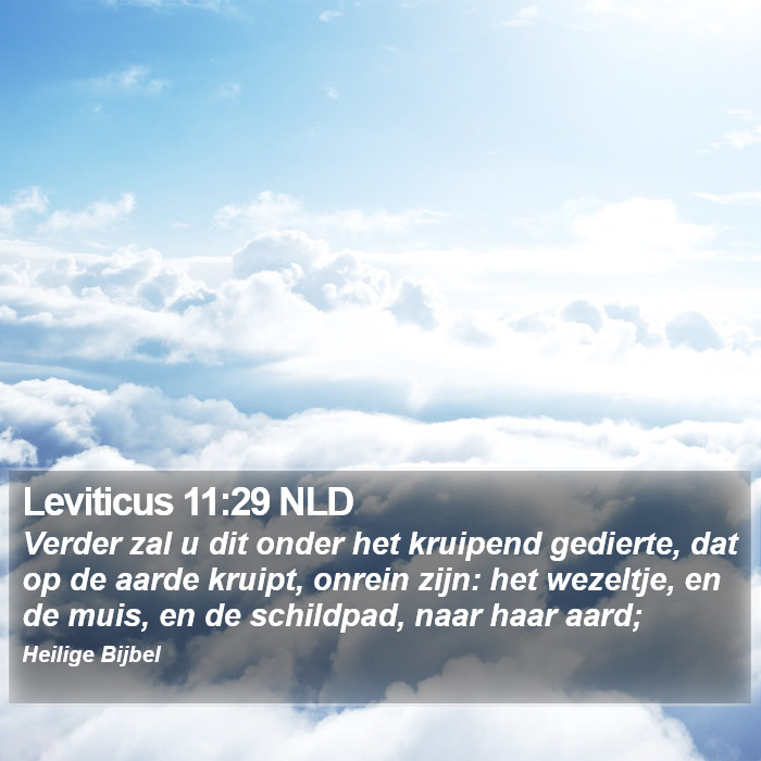Leviticus 11:29 NLD Bible Study