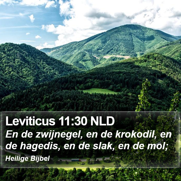 Leviticus 11:30 NLD Bible Study