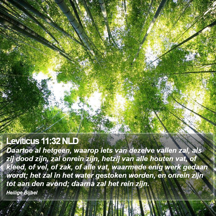 Leviticus 11:32 NLD Bible Study