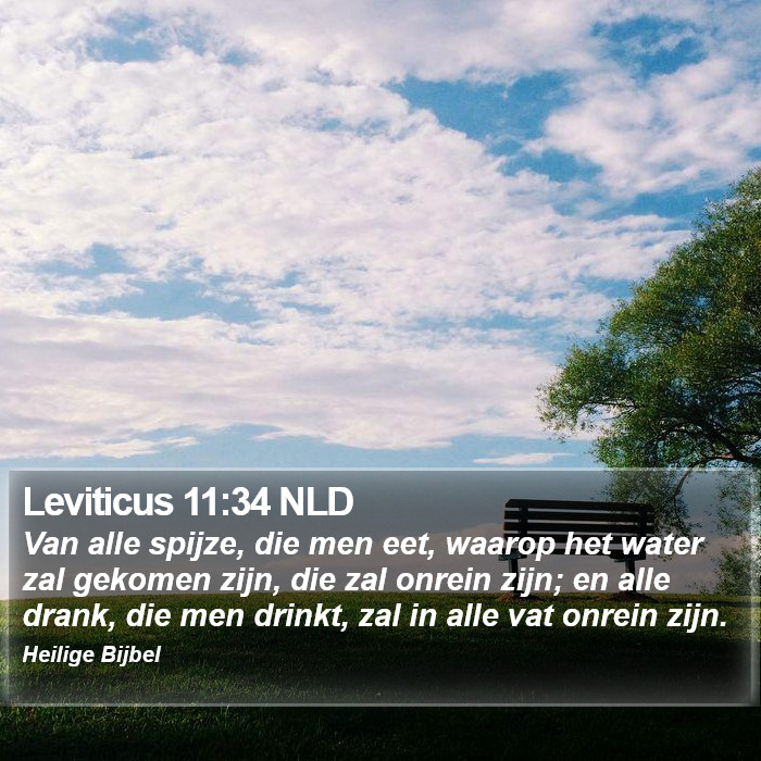 Leviticus 11:34 NLD Bible Study