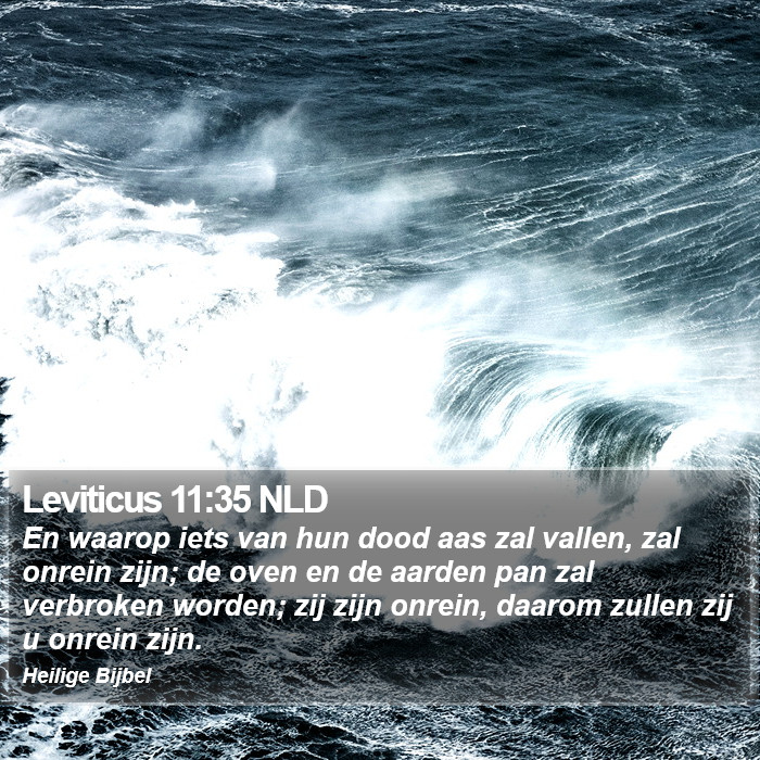 Leviticus 11:35 NLD Bible Study