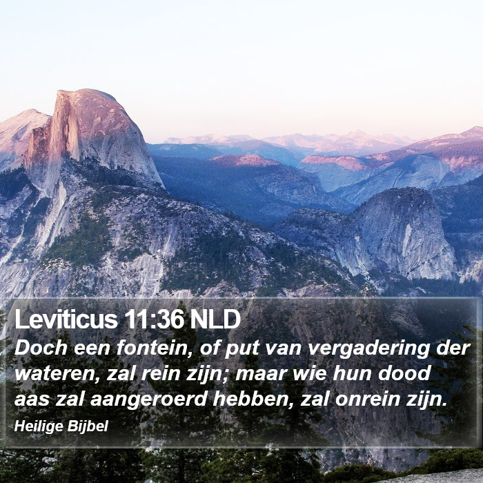 Leviticus 11:36 NLD Bible Study