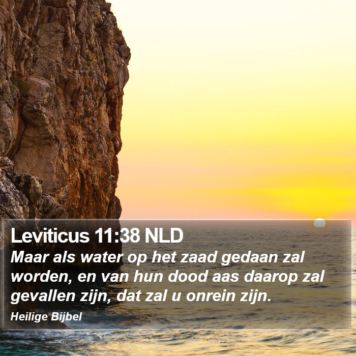 Leviticus 11:38 NLD Bible Study