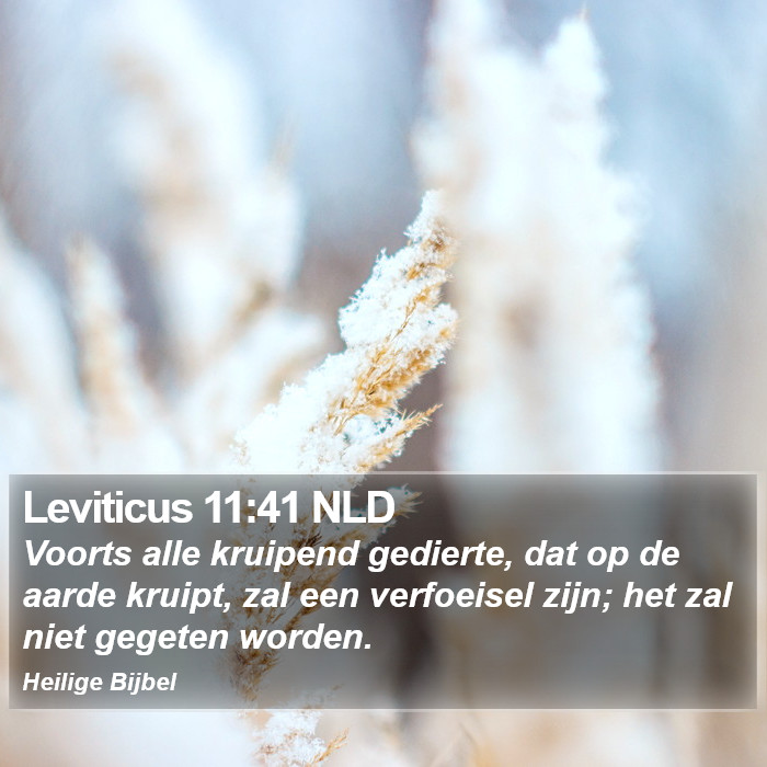Leviticus 11:41 NLD Bible Study