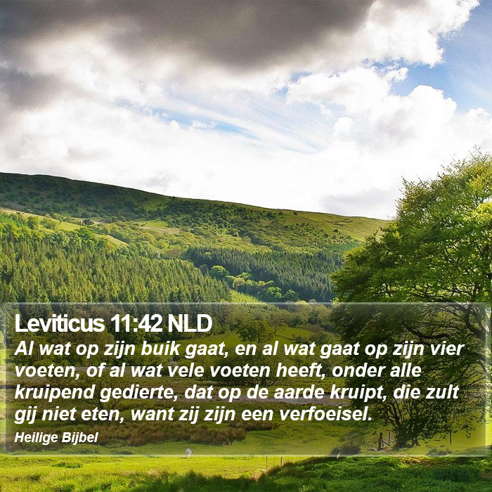 Leviticus 11:42 NLD Bible Study