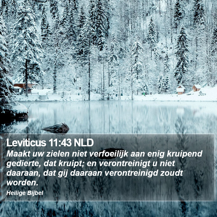 Leviticus 11:43 NLD Bible Study