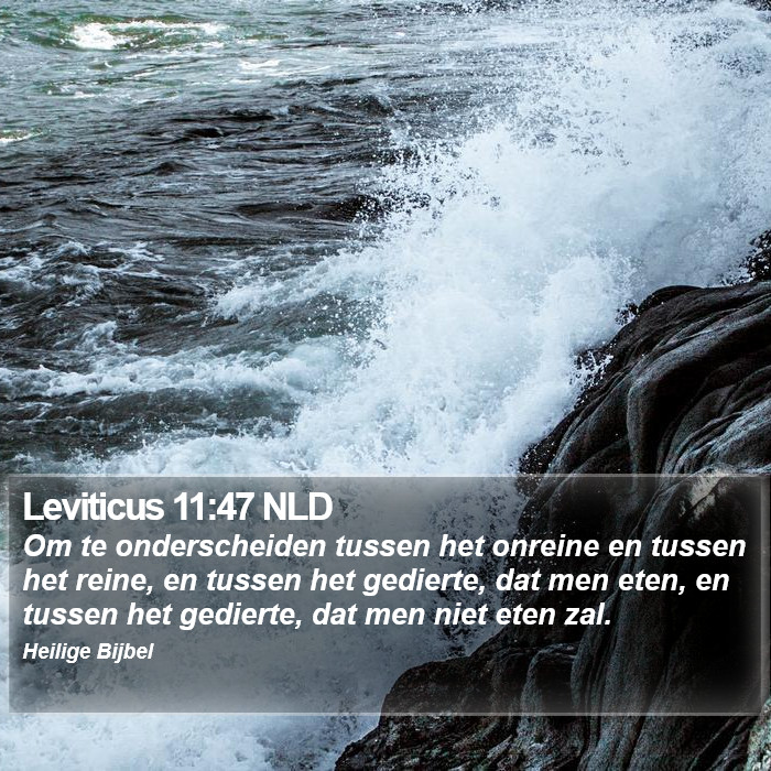 Leviticus 11:47 NLD Bible Study
