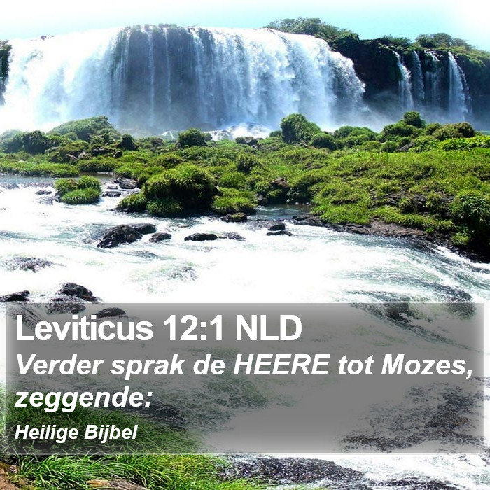 Leviticus 12:1 NLD Bible Study