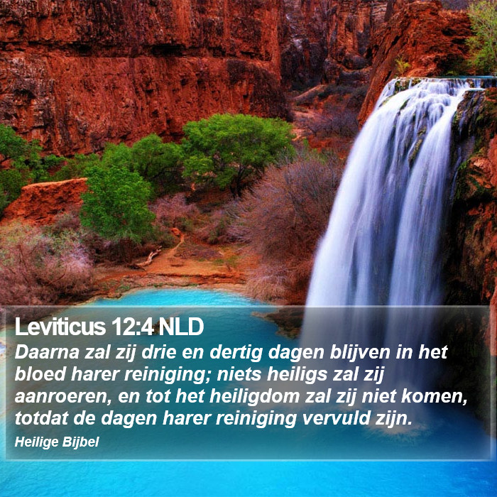 Leviticus 12:4 NLD Bible Study