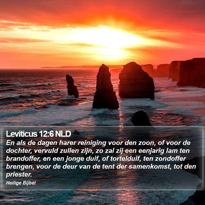 Leviticus 12:6 NLD Bible Study