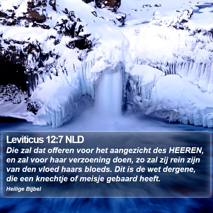 Leviticus 12:7 NLD Bible Study