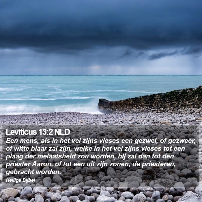 Leviticus 13:2 NLD Bible Study
