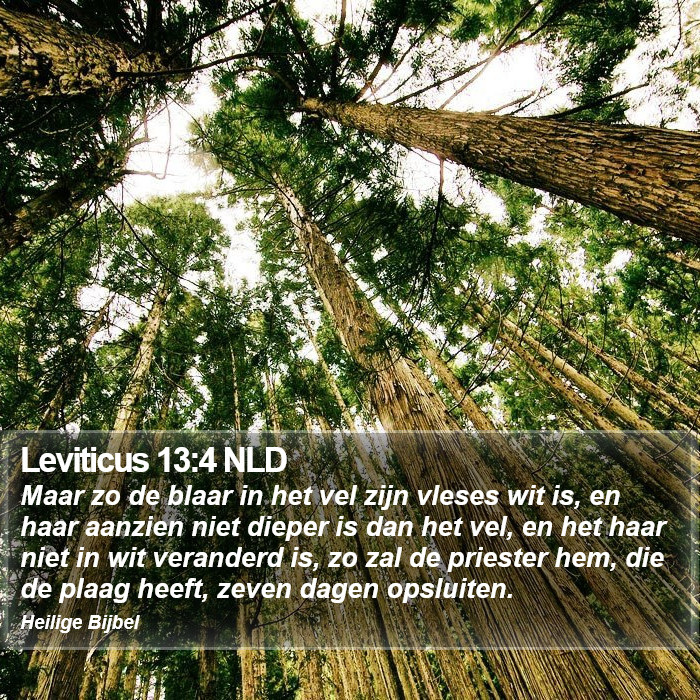 Leviticus 13:4 NLD Bible Study