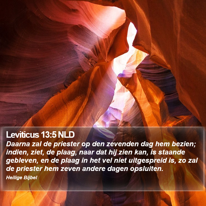 Leviticus 13:5 NLD Bible Study
