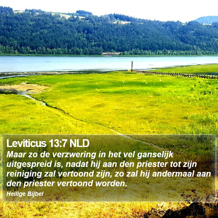 Leviticus 13:7 NLD Bible Study