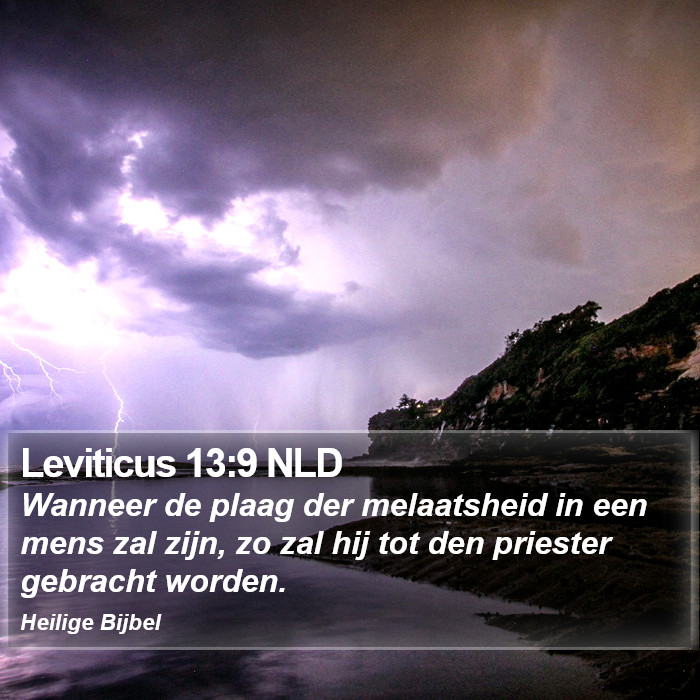 Leviticus 13:9 NLD Bible Study