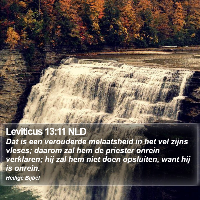 Leviticus 13:11 NLD Bible Study