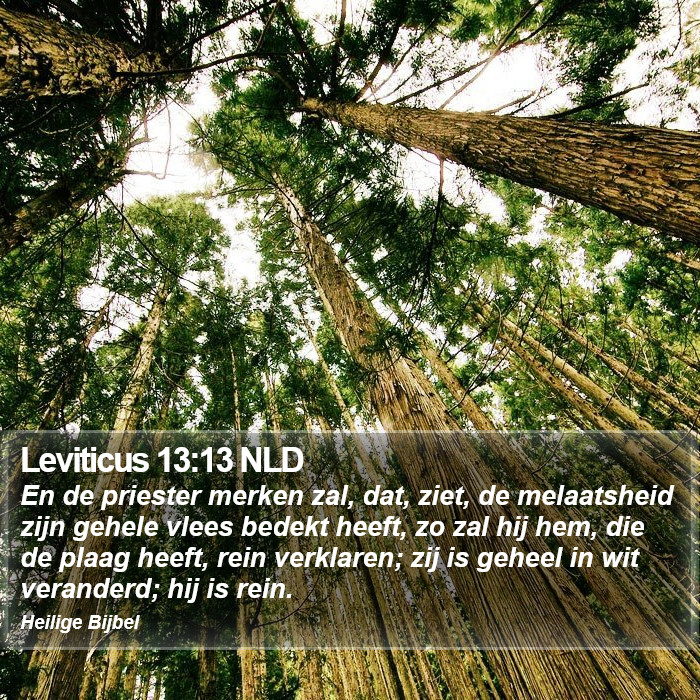 Leviticus 13:13 NLD Bible Study