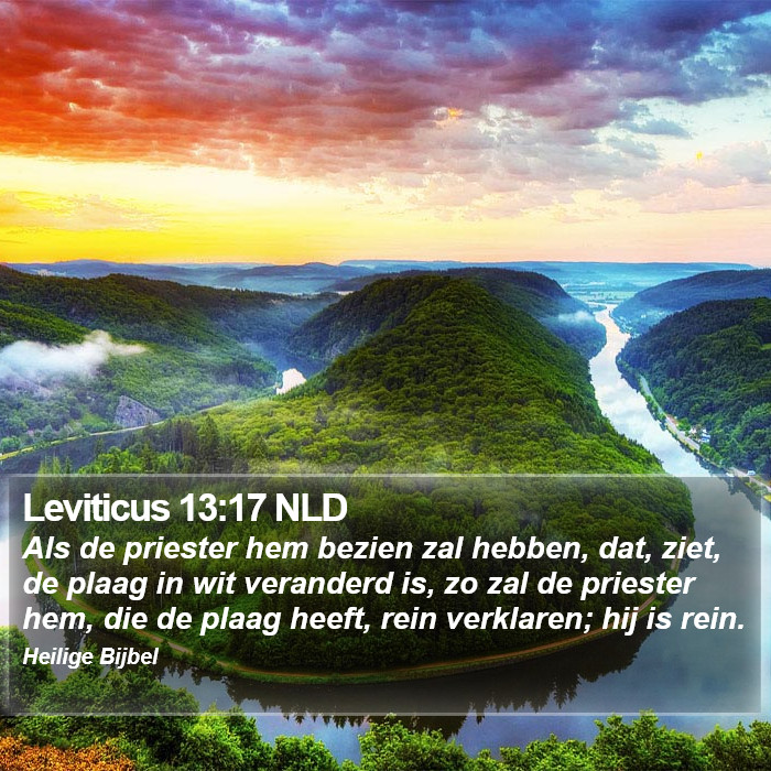 Leviticus 13:17 NLD Bible Study