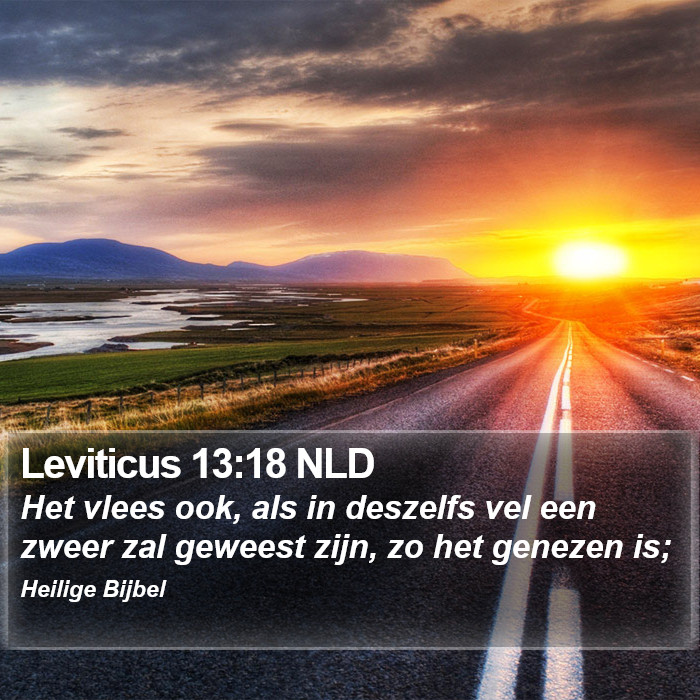 Leviticus 13:18 NLD Bible Study