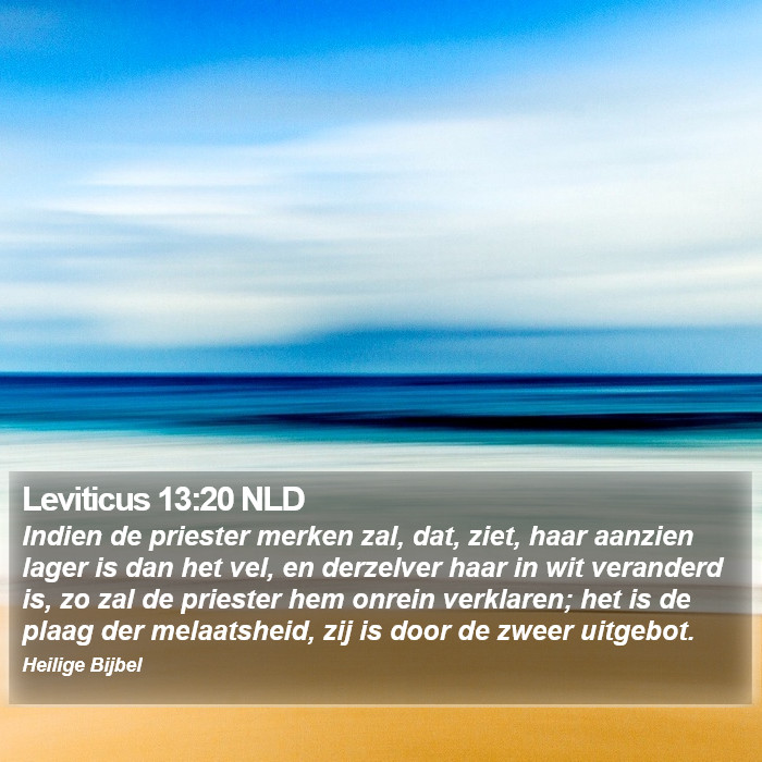 Leviticus 13:20 NLD Bible Study