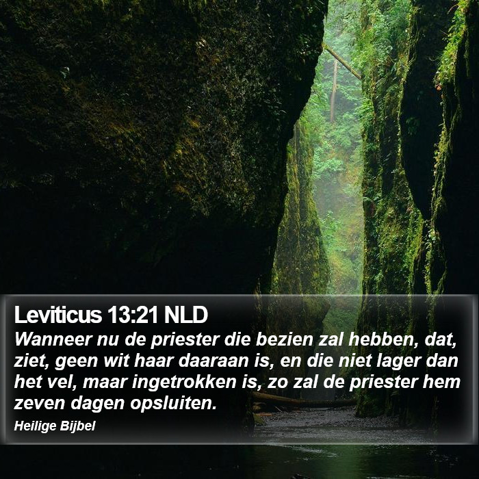 Leviticus 13:21 NLD Bible Study