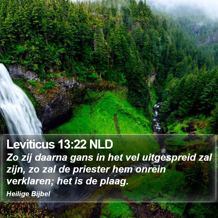 Leviticus 13:22 NLD Bible Study