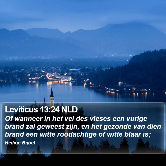 Leviticus 13:24 NLD Bible Study
