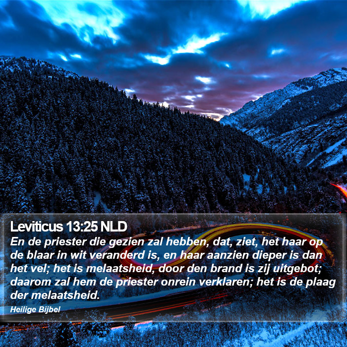 Leviticus 13:25 NLD Bible Study