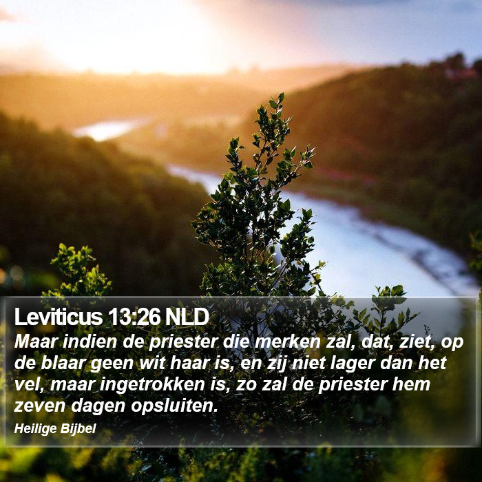Leviticus 13:26 NLD Bible Study