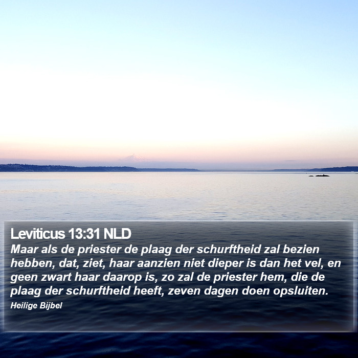 Leviticus 13:31 NLD Bible Study