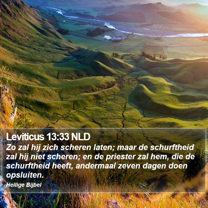 Leviticus 13:33 NLD Bible Study