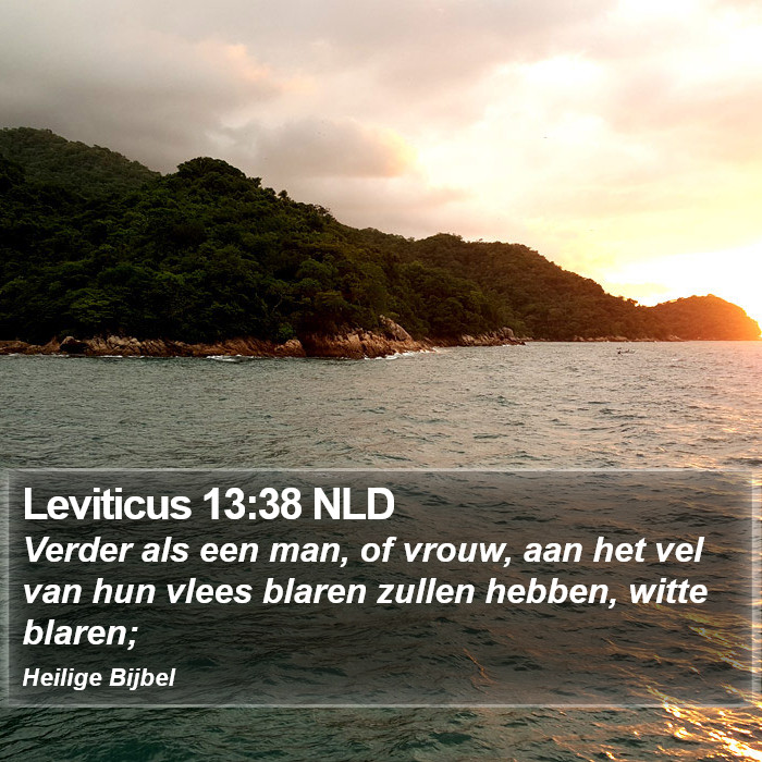Leviticus 13:38 NLD Bible Study