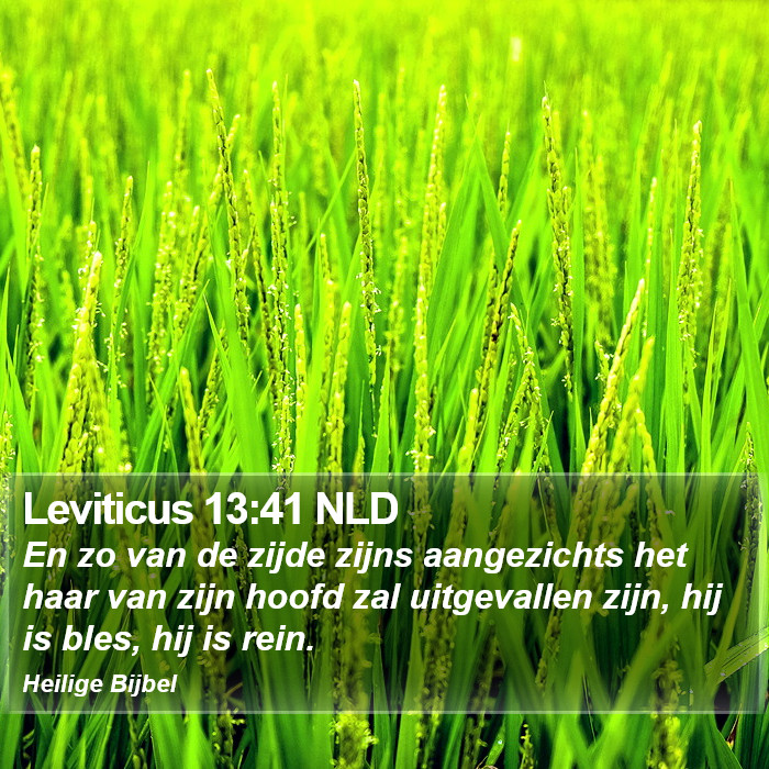 Leviticus 13:41 NLD Bible Study