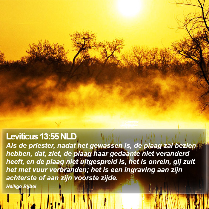 Leviticus 13:55 NLD Bible Study