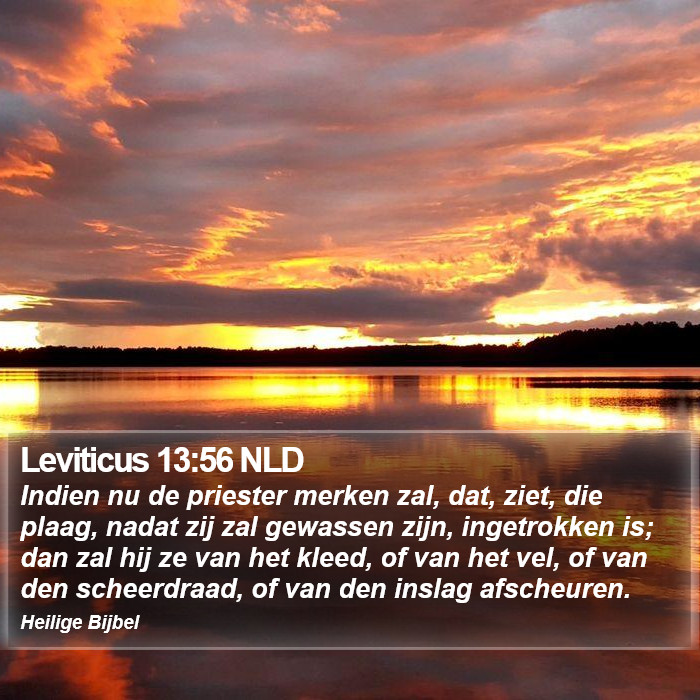Leviticus 13:56 NLD Bible Study