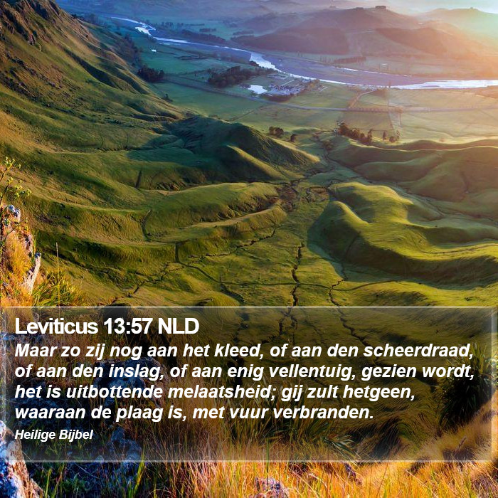 Leviticus 13:57 NLD Bible Study