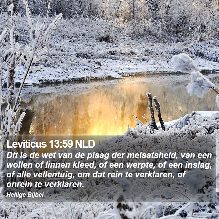 Leviticus 13:59 NLD Bible Study