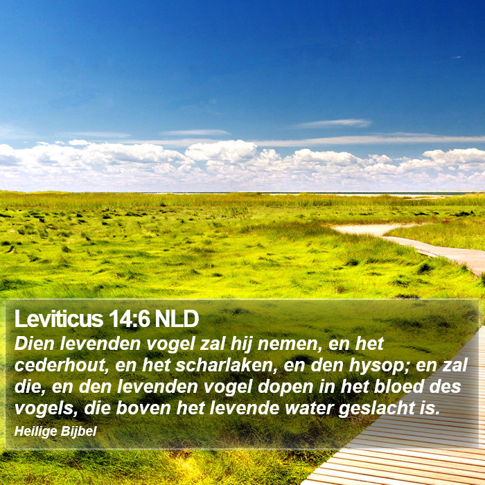 Leviticus 14:6 NLD Bible Study