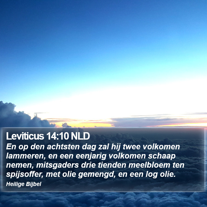 Leviticus 14:10 NLD Bible Study