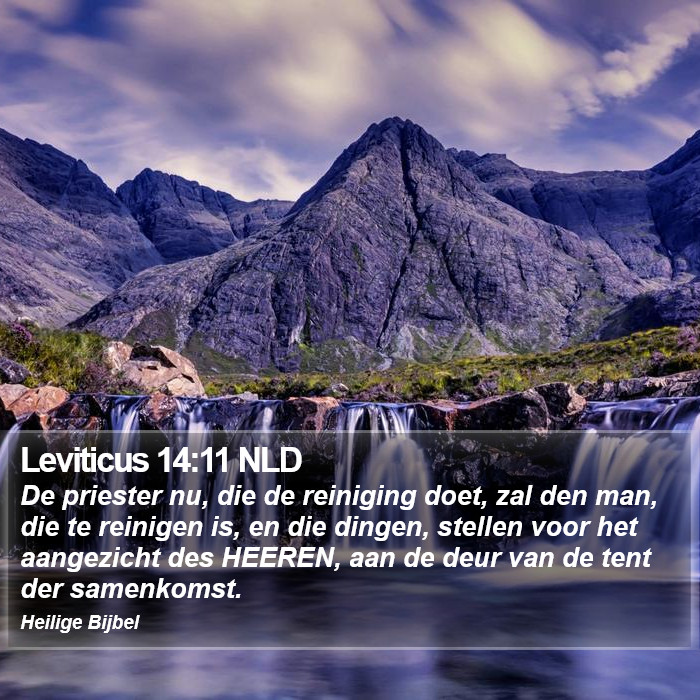 Leviticus 14:11 NLD Bible Study