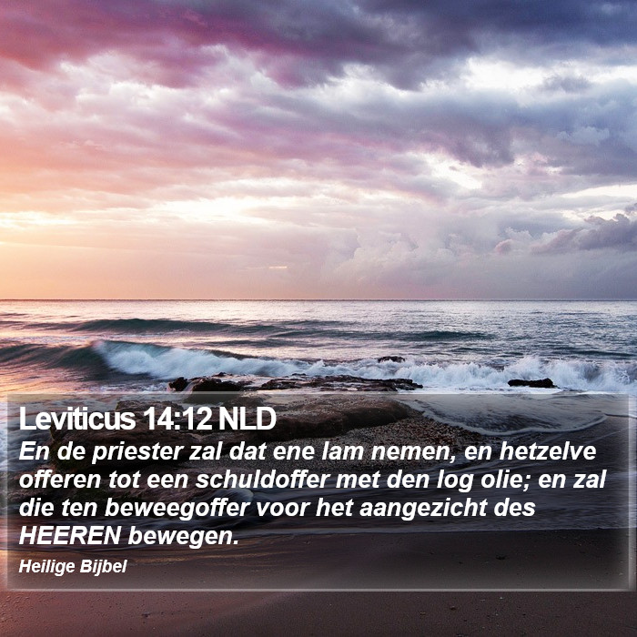 Leviticus 14:12 NLD Bible Study