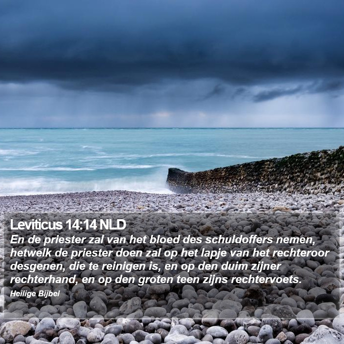 Leviticus 14:14 NLD Bible Study