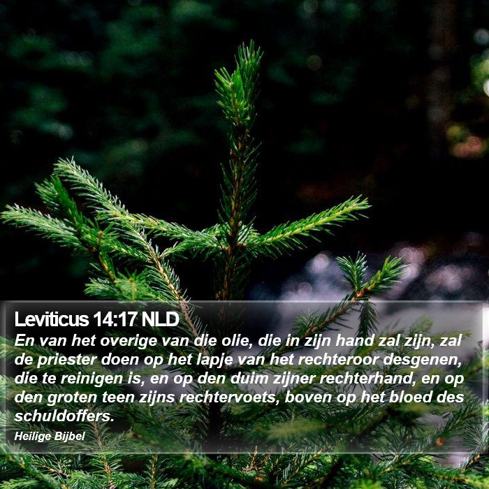 Leviticus 14:17 NLD Bible Study