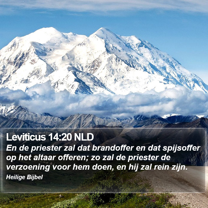 Leviticus 14:20 NLD Bible Study