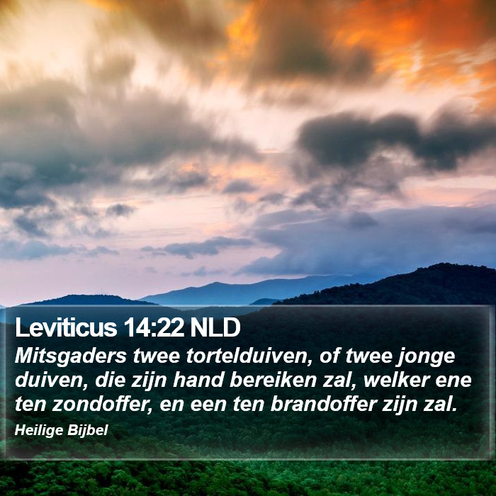 Leviticus 14:22 NLD Bible Study