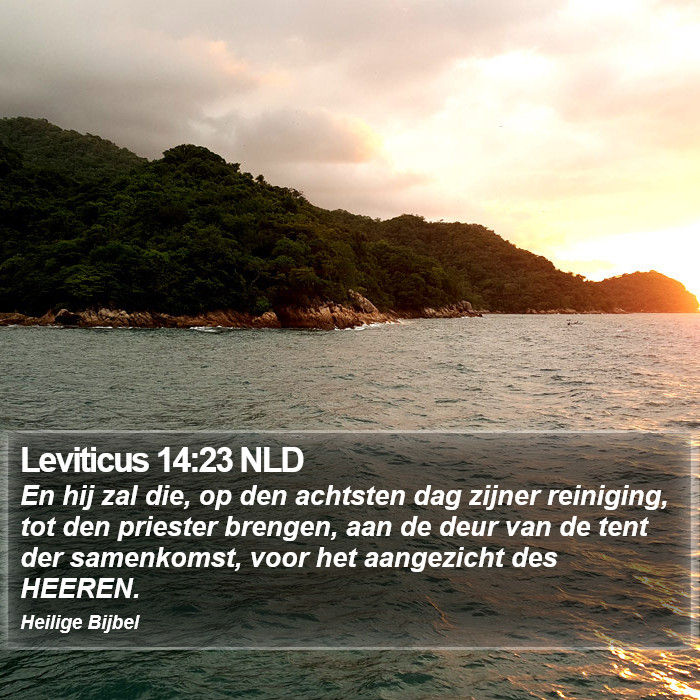 Leviticus 14:23 NLD Bible Study