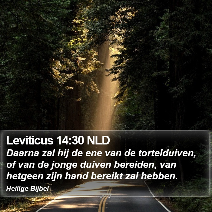 Leviticus 14:30 NLD Bible Study